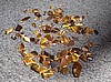 Tiger's Eye